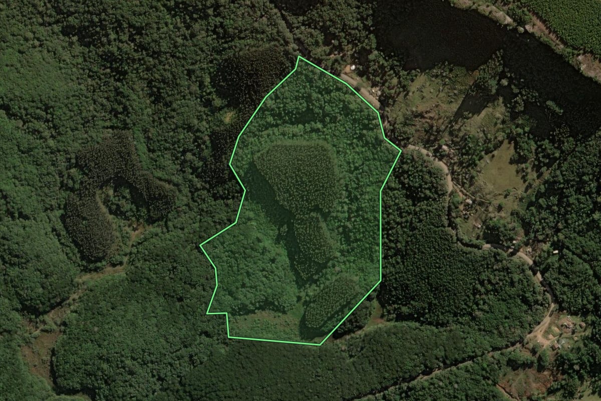 Imagem de satélite do imóvel rural em Jaguariaíva (PR), com o contorno declarado no CAR desenhado por cima.
