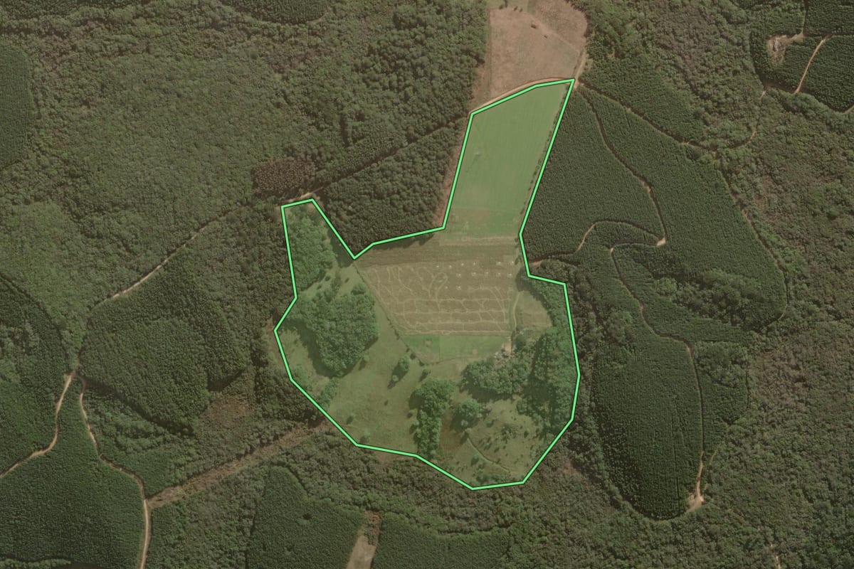 Imagem de satélite do imóvel rural em Jaguariaíva (PR), com o contorno declarado no CAR desenhado por cima.