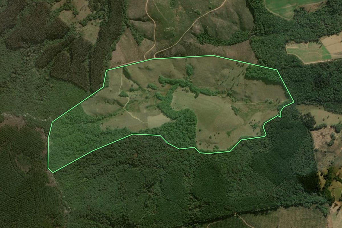 Imagem de satélite do imóvel rural em Jaguariaíva (PR), com o contorno declarado no CAR desenhado por cima.