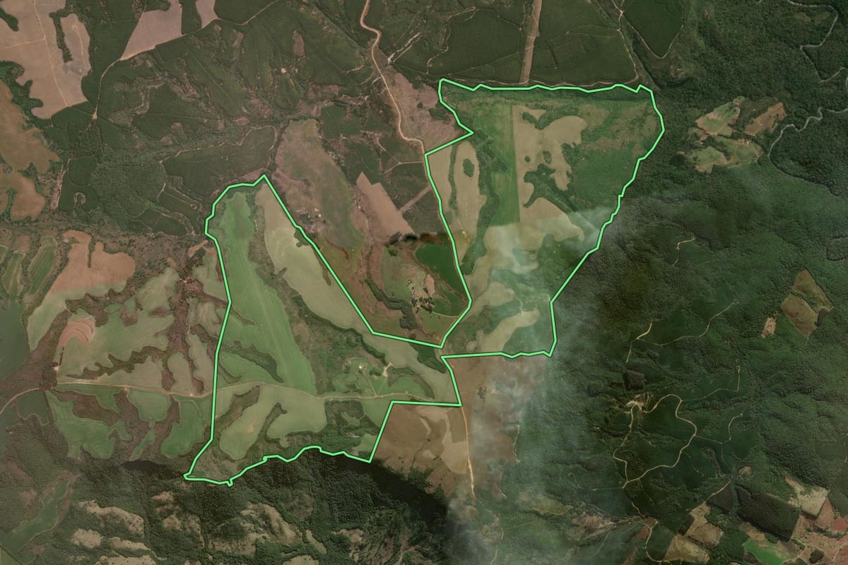 Imagem de satélite do imóvel rural em Jaguariaíva (PR), com o contorno declarado no CAR desenhado por cima.