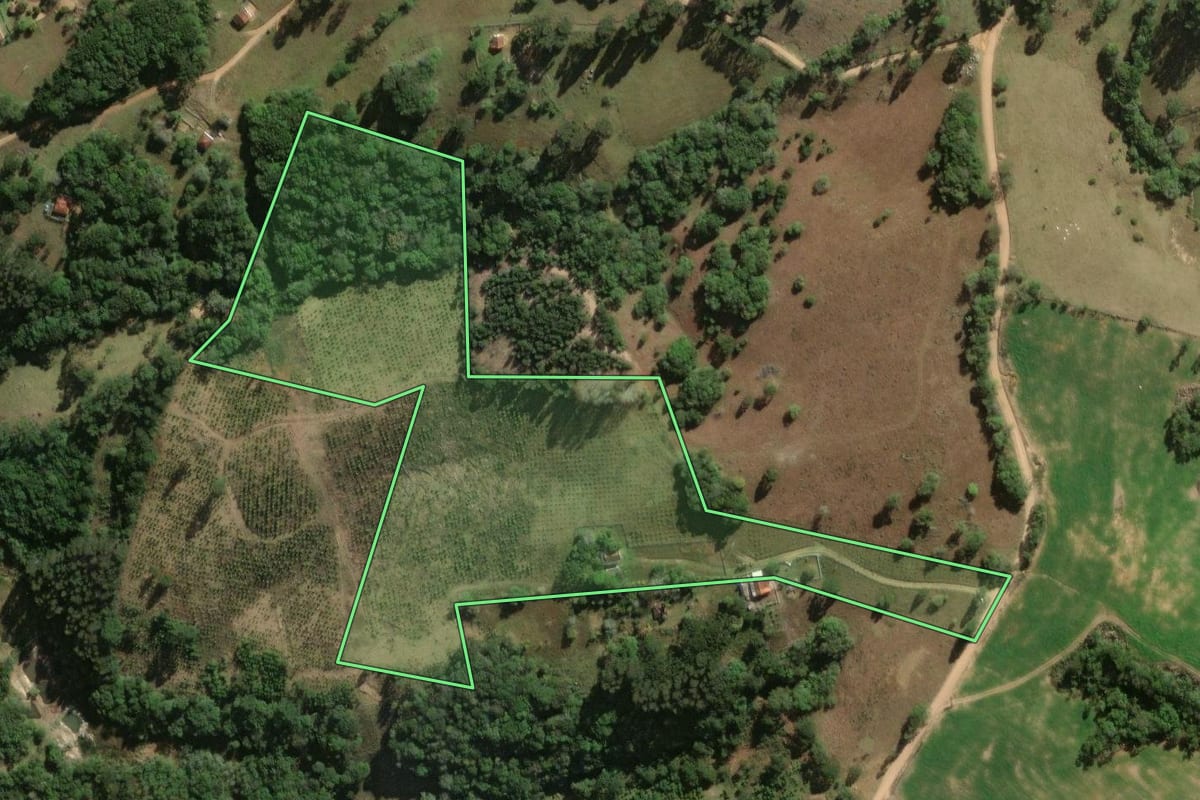 Imagem de satélite do imóvel rural em Jaguariaíva (PR), com o contorno declarado no CAR desenhado por cima.