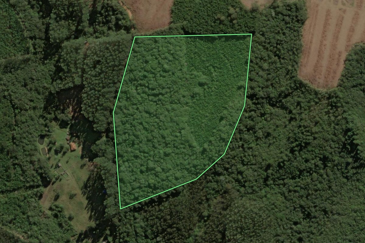 Imagem de satélite do imóvel rural em Jaguariaíva (PR), com o contorno declarado no CAR desenhado por cima.