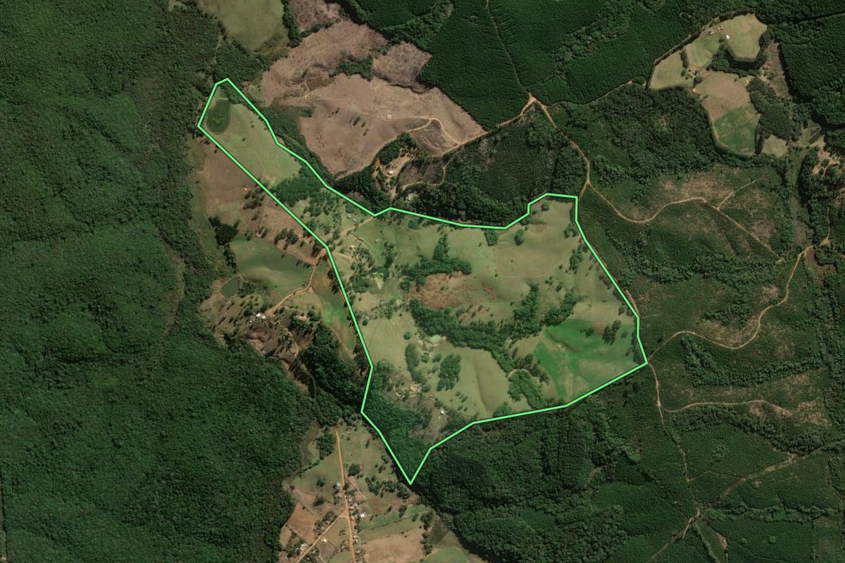Imagem de satélite do imóvel rural em Jaguariaíva (PR), com o contorno declarado no CAR desenhado por cima.