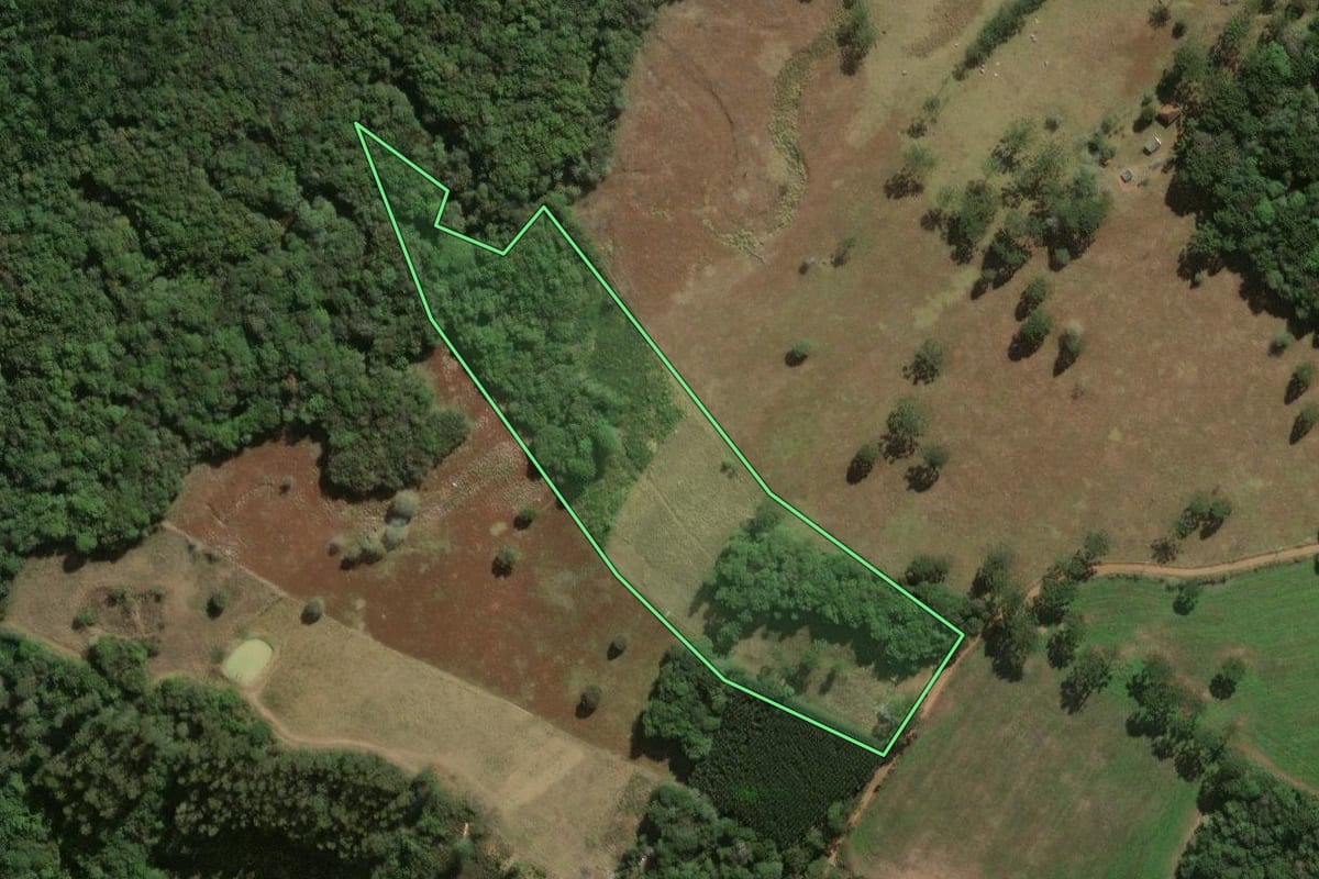 Imagem de satélite do imóvel rural em Jaguariaíva (PR), com o contorno declarado no CAR desenhado por cima.