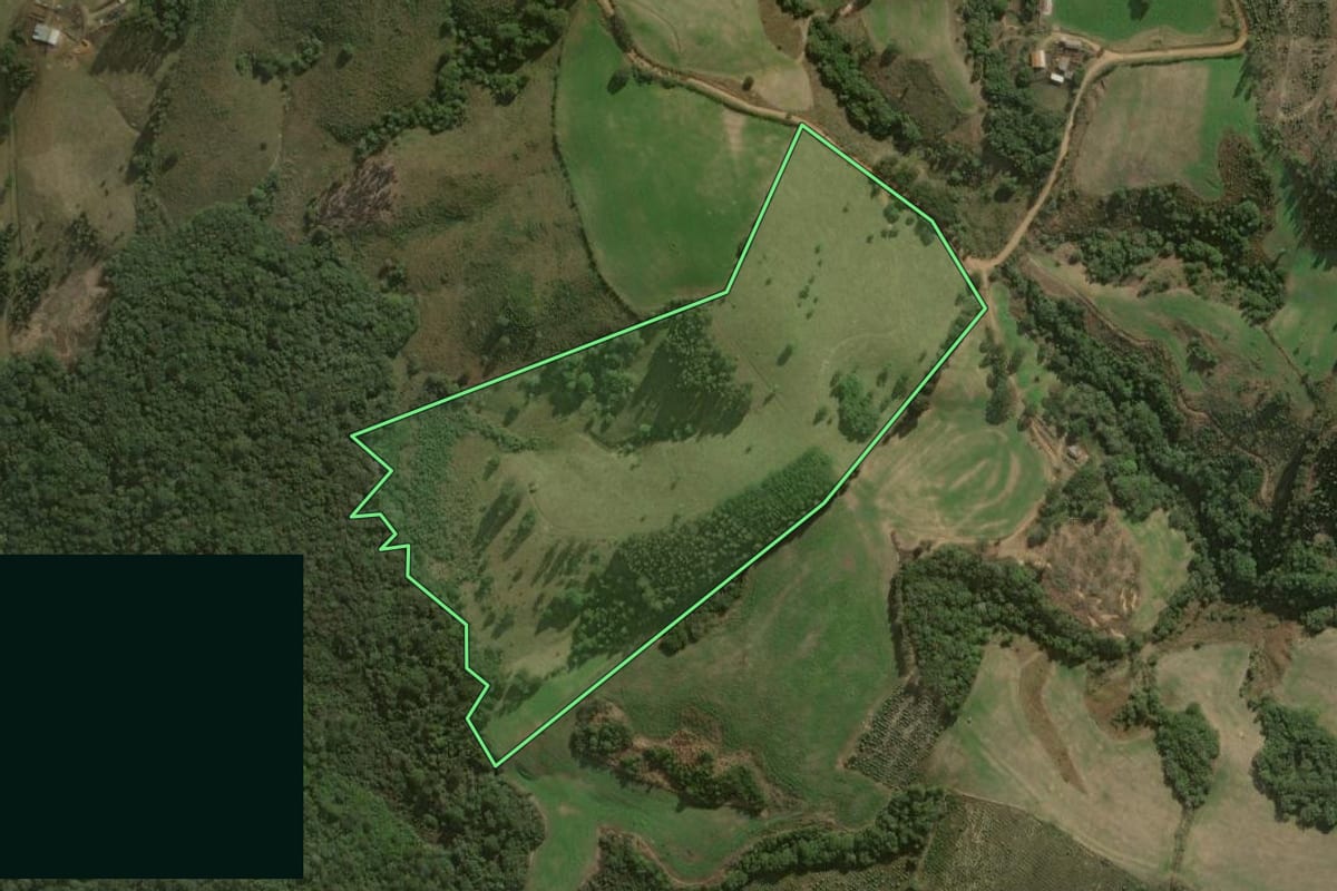 Imagem de satélite do imóvel rural em Jaguariaíva (PR), com o contorno declarado no CAR desenhado por cima.