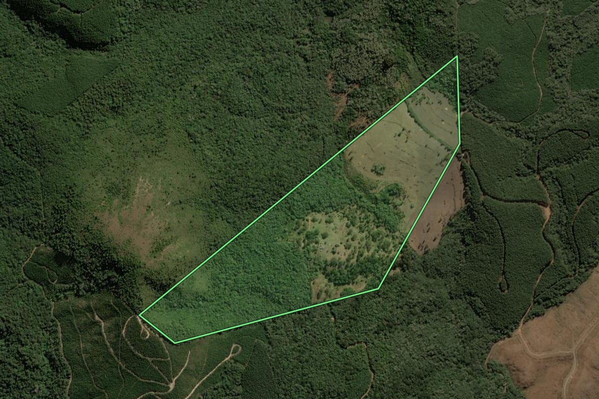 Imagem de satélite do imóvel rural em Jaguariaíva (PR), com o contorno declarado no CAR desenhado por cima.
