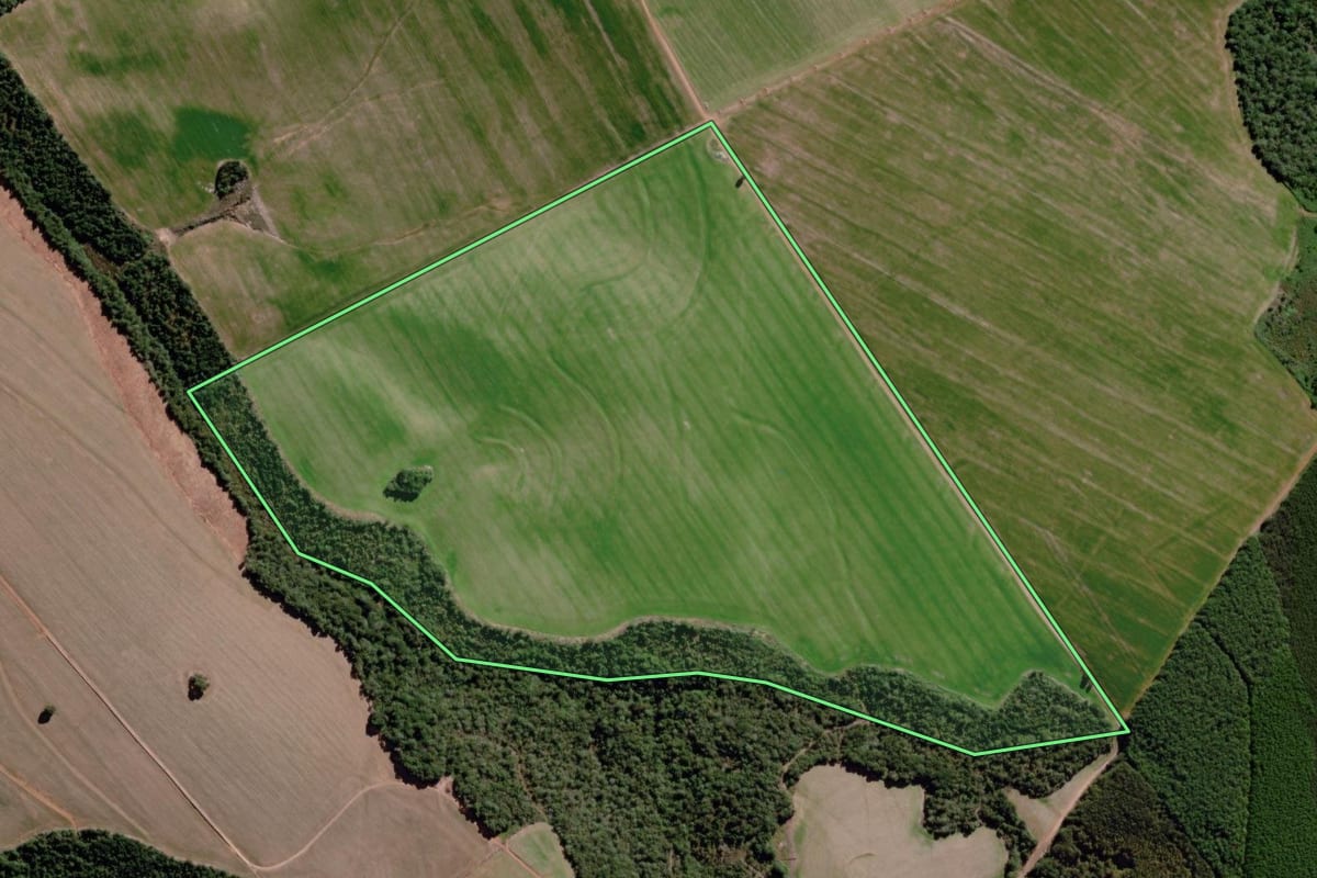 Imagem de satélite do imóvel rural em Jaguariaíva (PR), com o contorno declarado no CAR desenhado por cima.