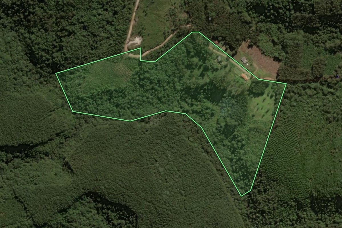 Imagem de satélite do imóvel rural em Jaguariaíva (PR), com o contorno declarado no CAR desenhado por cima.