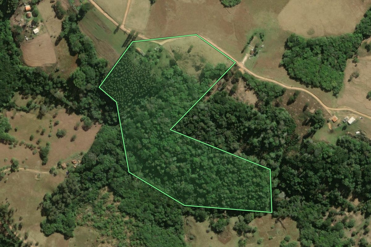 Imagem de satélite do imóvel rural em Jaguariaíva (PR), com o contorno declarado no CAR desenhado por cima.