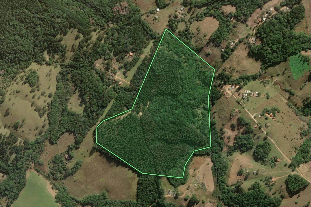 Imagem de satélite do imóvel rural em Jaguariaíva (PR), com o contorno declarado no CAR desenhado por cima.