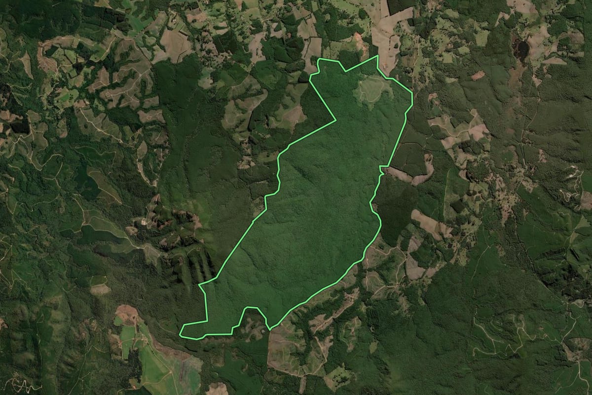 Imagem de satélite do imóvel rural em Jaguariaíva (PR), com o contorno declarado no CAR desenhado por cima.