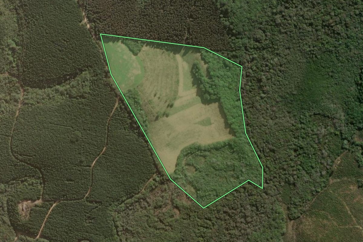 Imagem de satélite do imóvel rural em Jaguariaíva (PR), com o contorno declarado no CAR desenhado por cima.