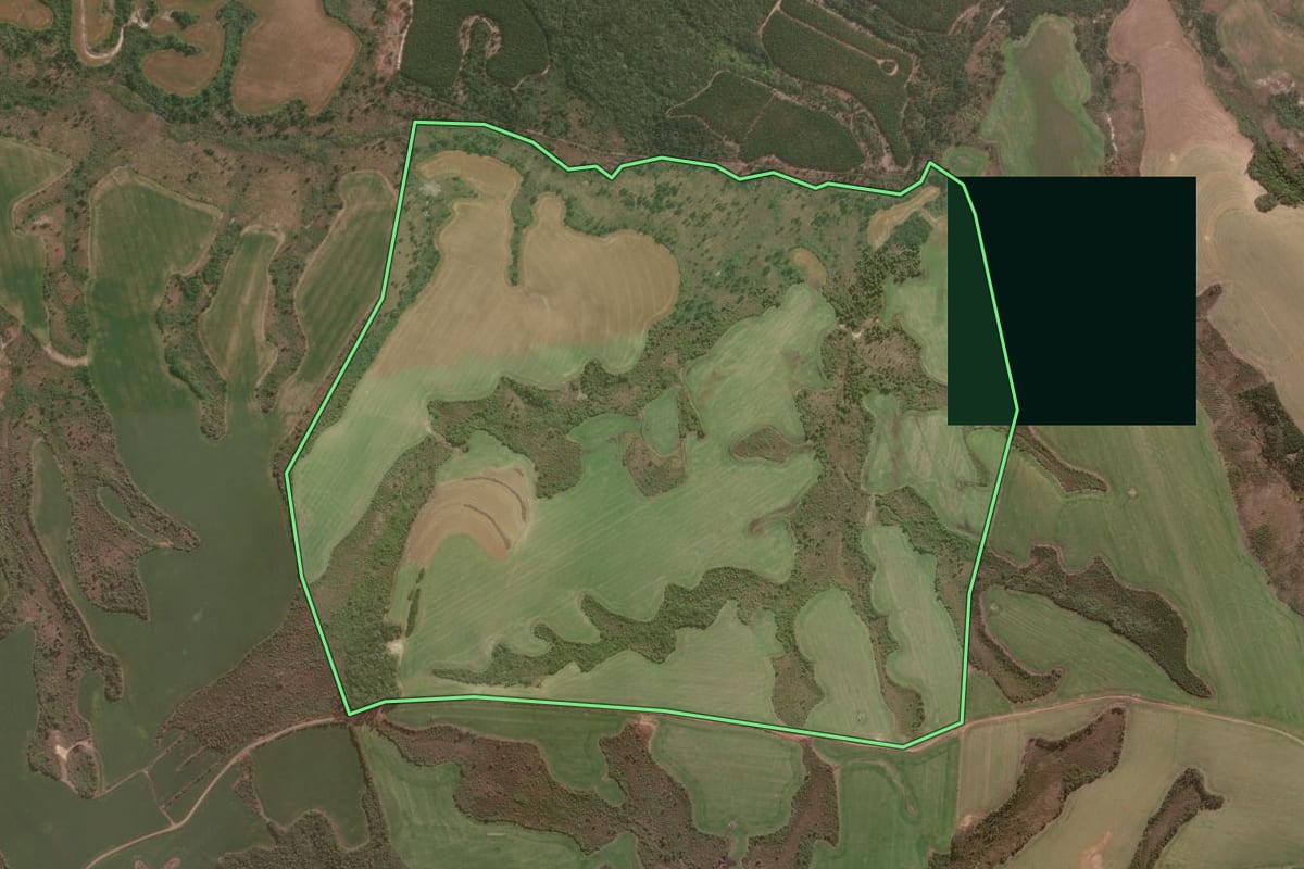 Imagem de satélite do imóvel rural em Jaguariaíva (PR), com o contorno declarado no CAR desenhado por cima.