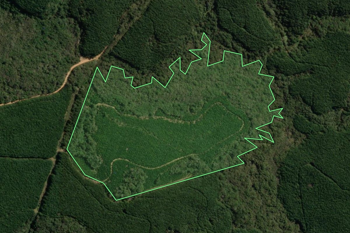 Imagem de satélite do imóvel rural em Jaguariaíva (PR), com o contorno declarado no CAR desenhado por cima.