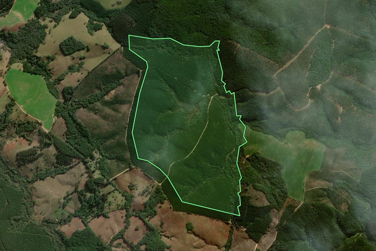 Imagem de satélite do imóvel rural em Jaguariaíva (PR), com o contorno declarado no CAR desenhado por cima.