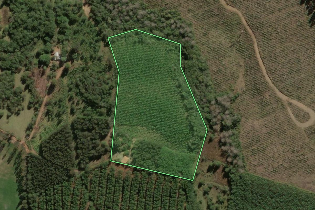 Imagem de satélite do imóvel rural em Jaguariaíva (PR), com o contorno declarado no CAR desenhado por cima.