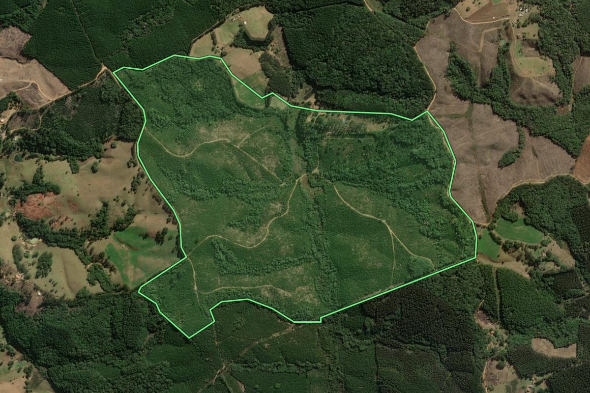 Imagem de satélite do imóvel rural em Jaguariaíva (PR), com o contorno declarado no CAR desenhado por cima.