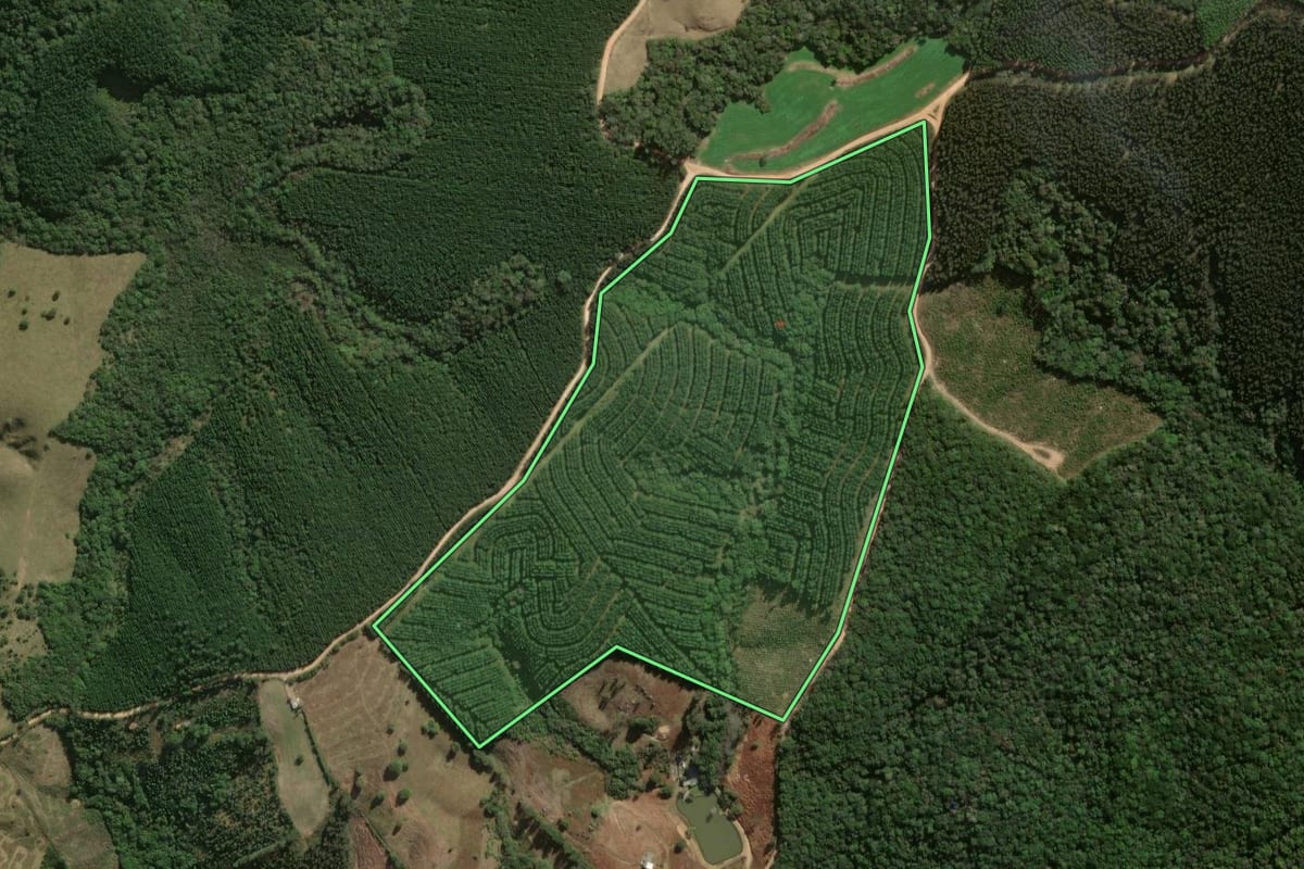Imagem de satélite do imóvel rural em Jaguariaíva (PR), com o contorno declarado no CAR desenhado por cima.