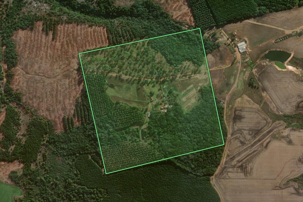 Imagem de satélite do imóvel rural em Jaguariaíva (PR), com o contorno declarado no CAR desenhado por cima.