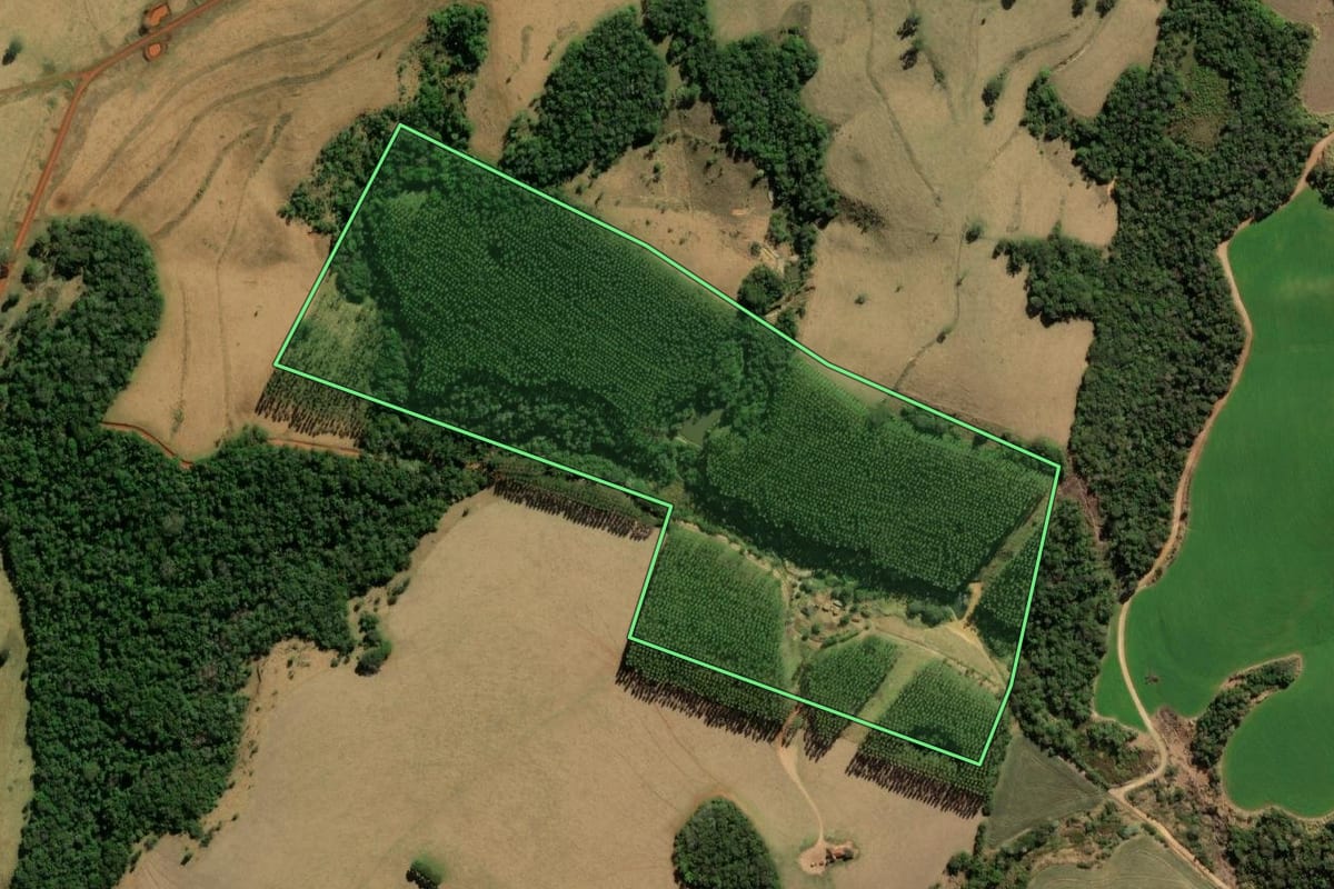 Imagem de satélite do imóvel rural em Jaguariaíva (PR), com o contorno declarado no CAR desenhado por cima.