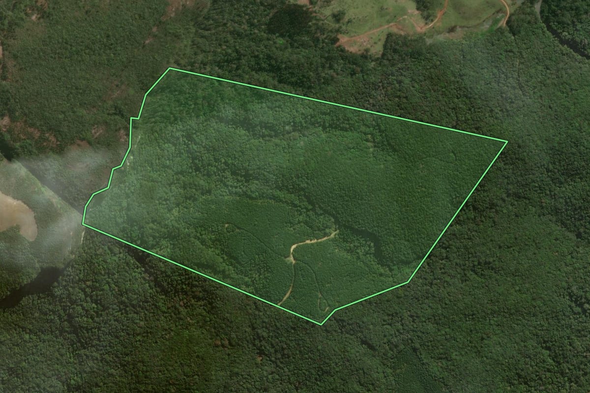 Imagem de satélite do imóvel rural em Jaguariaíva (PR), com o contorno declarado no CAR desenhado por cima.