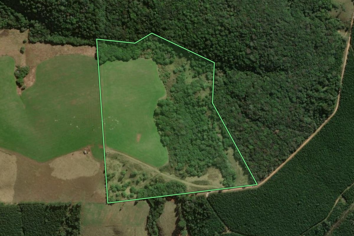 Imagem de satélite do imóvel rural em Jaguariaíva (PR), com o contorno declarado no CAR desenhado por cima.