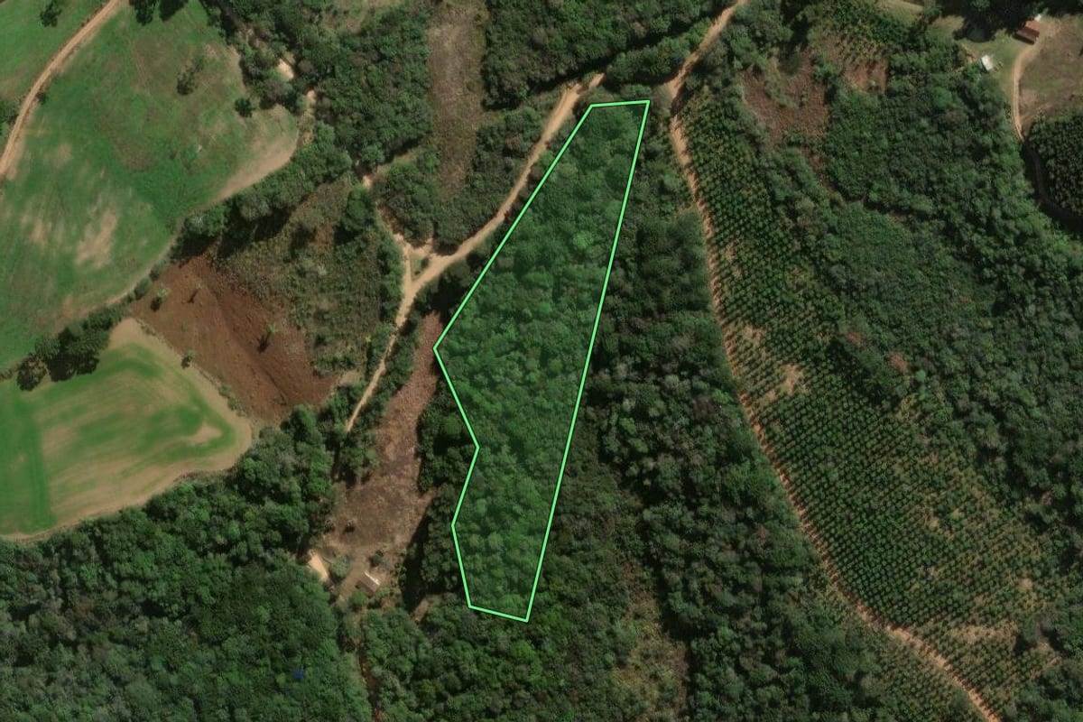 Imagem de satélite do imóvel rural em Jaguariaíva (PR), com o contorno declarado no CAR desenhado por cima.