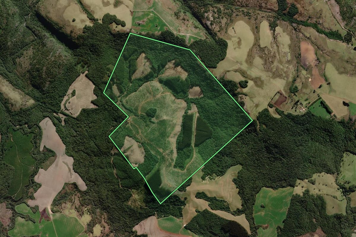 Imagem de satélite do imóvel rural em Jaguariaíva (PR), com o contorno declarado no CAR desenhado por cima.