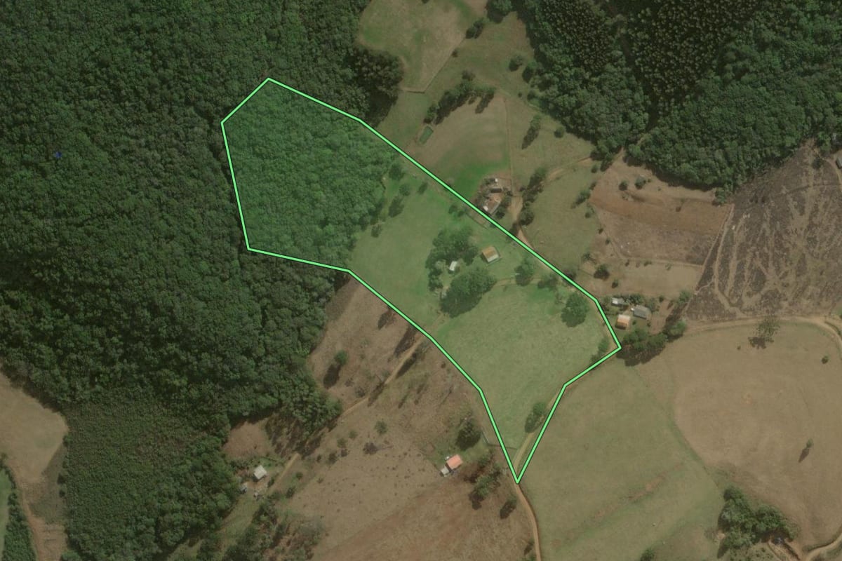 Imagem de satélite do imóvel rural em Jaguariaíva (PR), com o contorno declarado no CAR desenhado por cima.