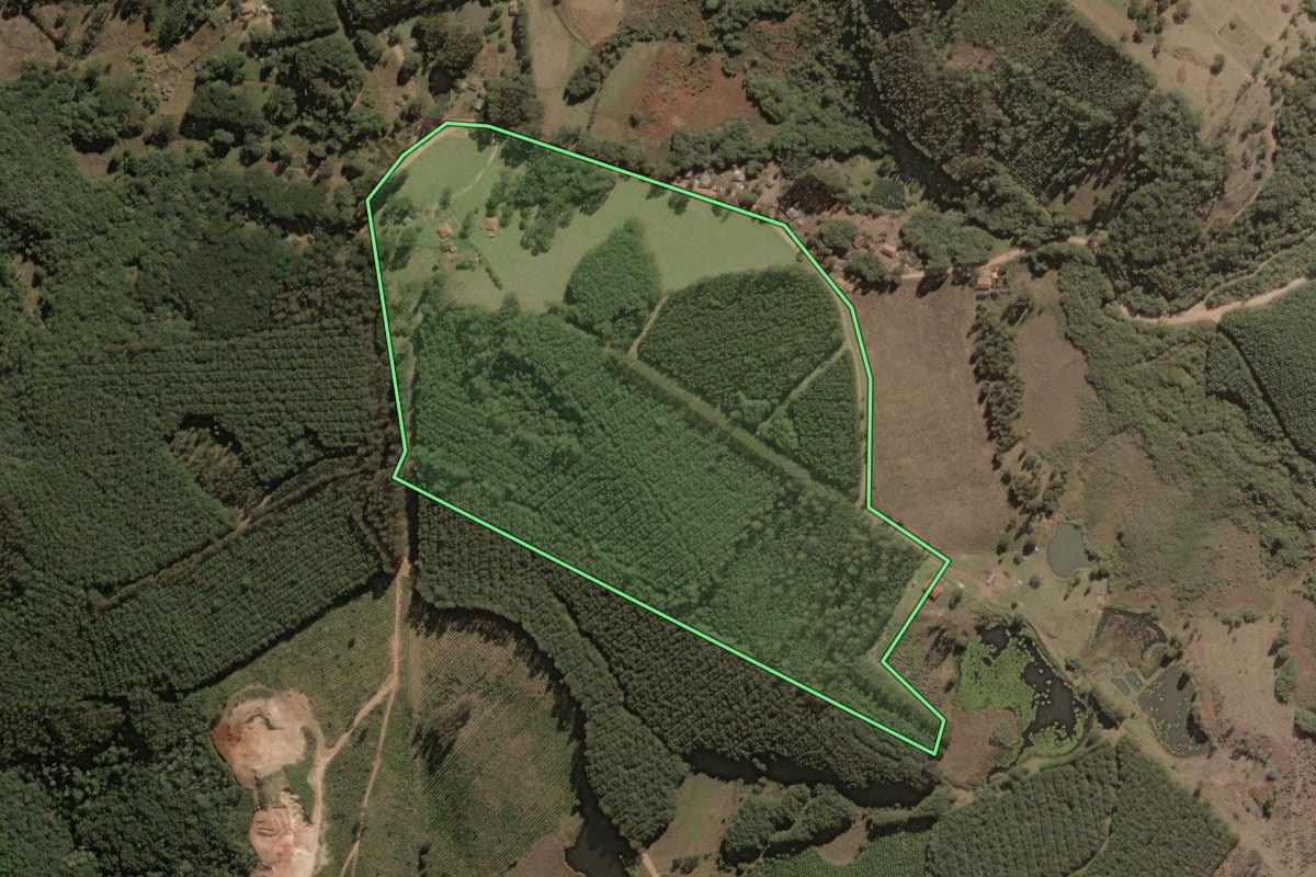 Imagem de satélite do imóvel rural em Jaguariaíva (PR), com o contorno declarado no CAR desenhado por cima.