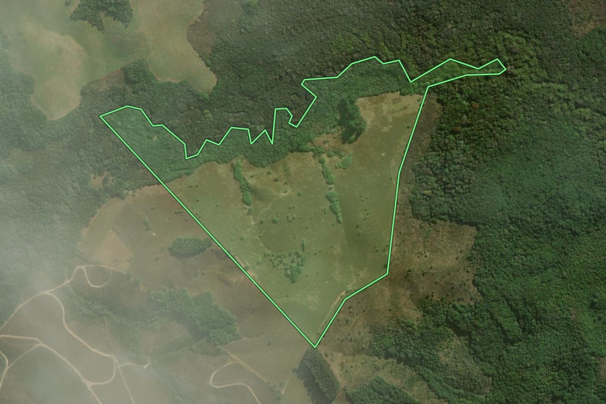 Imagem de satélite do imóvel rural em Jaguariaíva (PR), com o contorno declarado no CAR desenhado por cima.