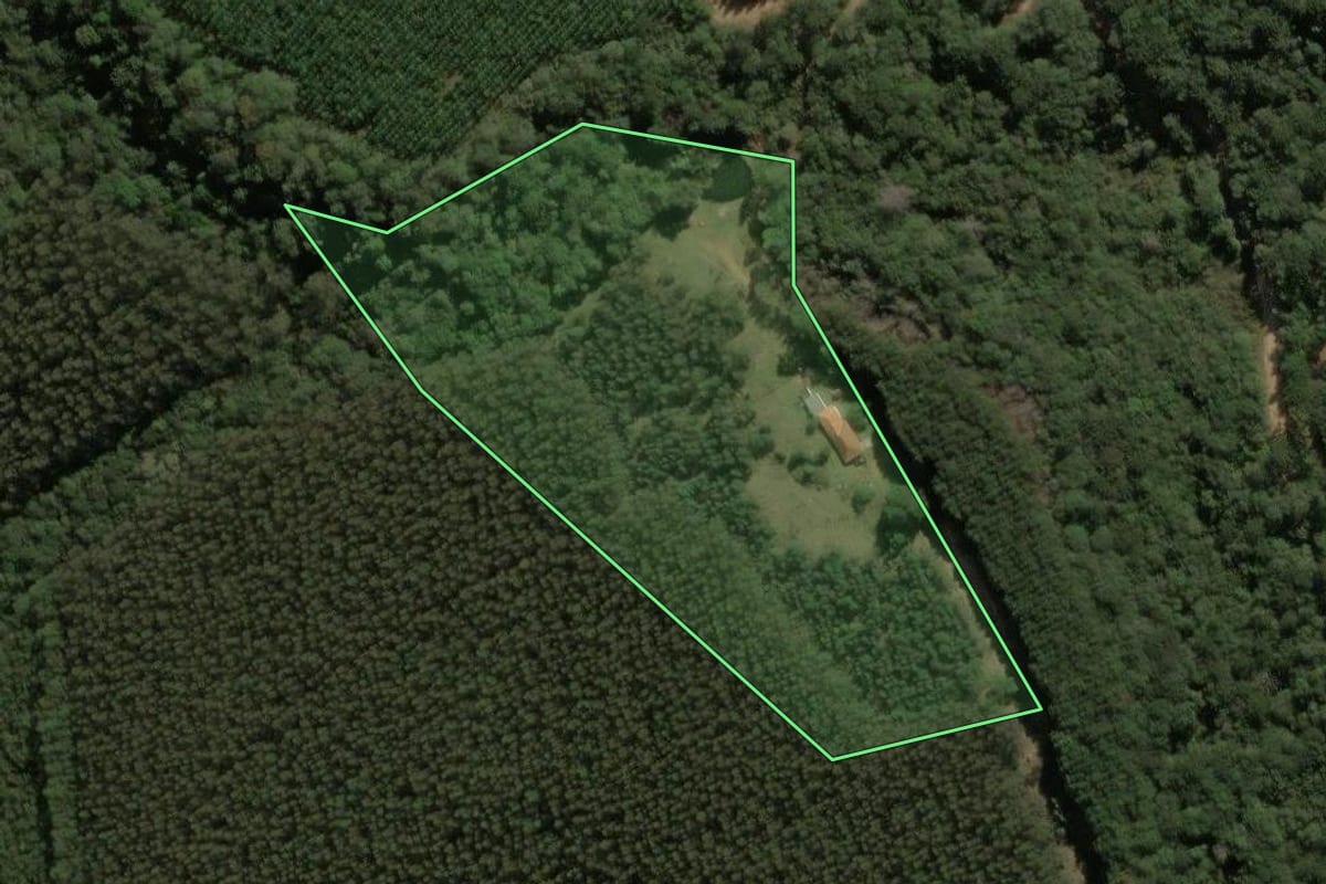 Imagem de satélite do imóvel rural em Jaguariaíva (PR), com o contorno declarado no CAR desenhado por cima.
