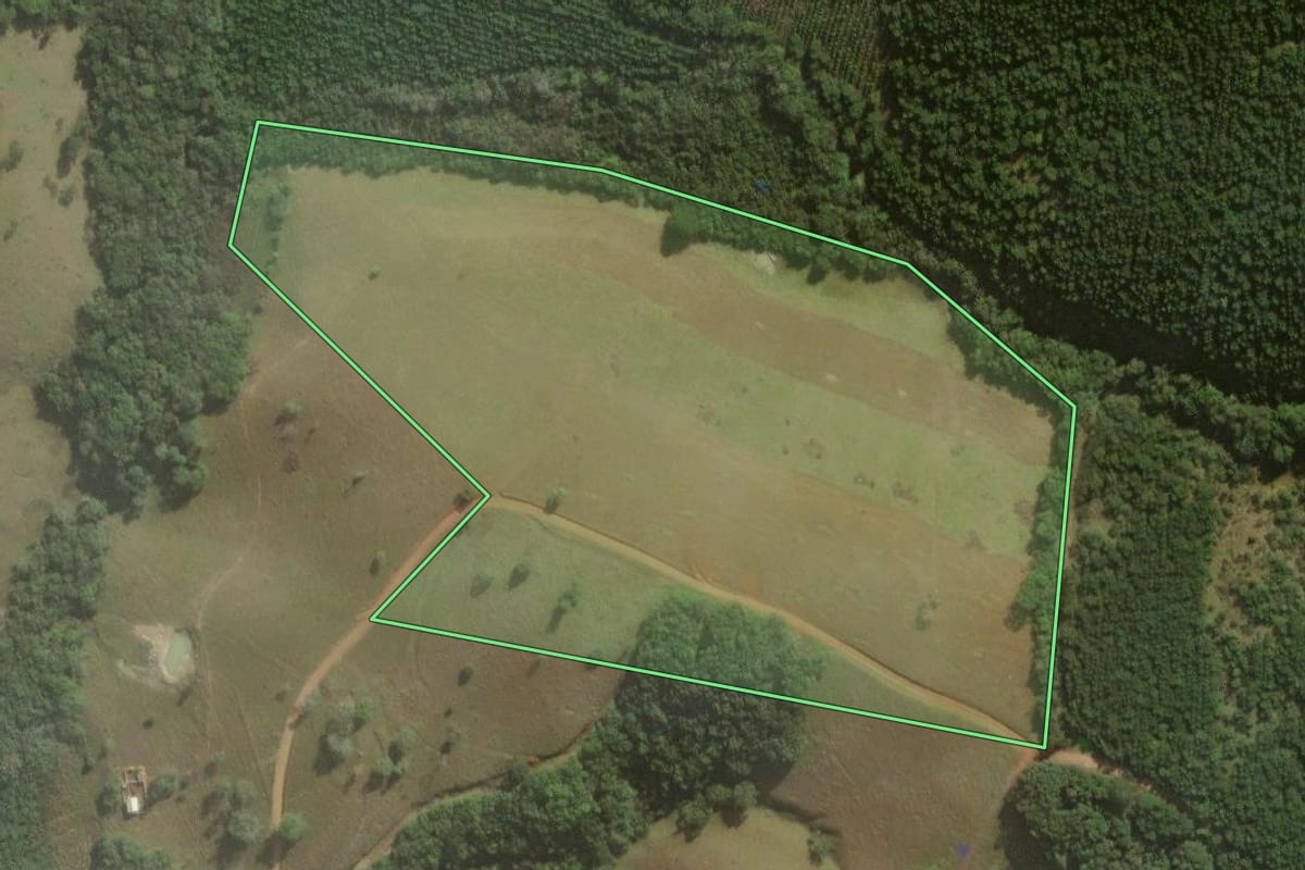 Imagem de satélite do imóvel rural em Jaguariaíva (PR), com o contorno declarado no CAR desenhado por cima.