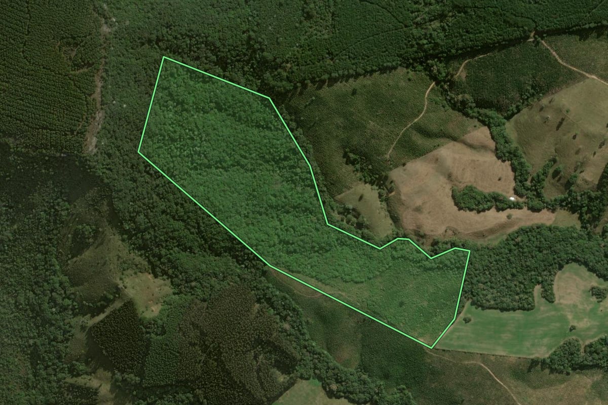 Imagem de satélite do imóvel rural em Jaguariaíva (PR), com o contorno declarado no CAR desenhado por cima.