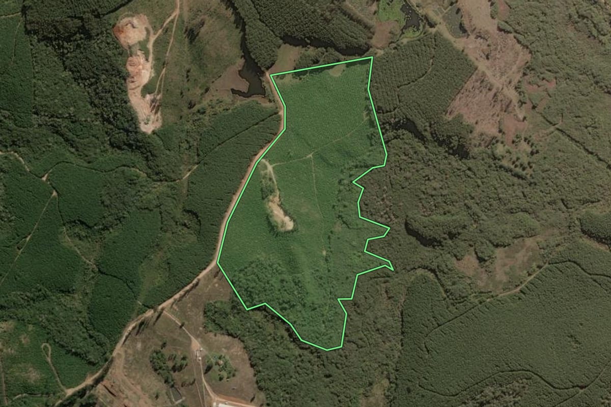 Imagem de satélite do imóvel rural em Jaguariaíva (PR), com o contorno declarado no CAR desenhado por cima.