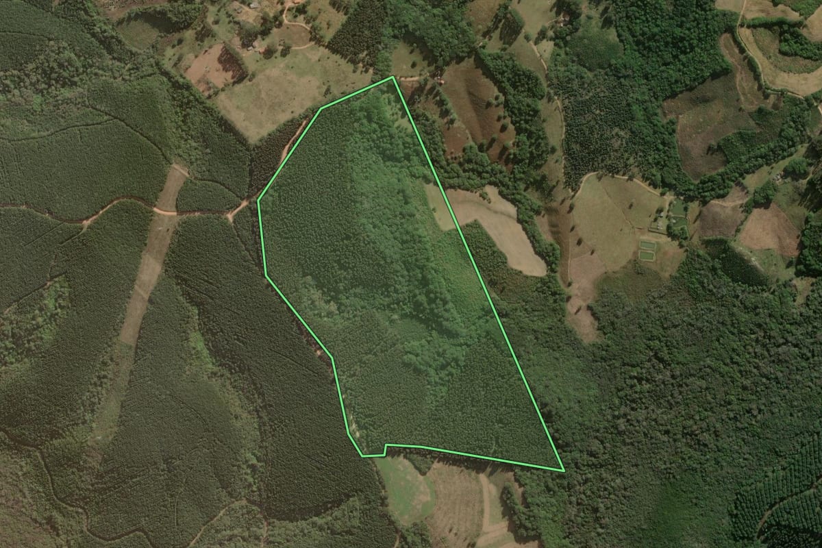 Imagem de satélite do imóvel rural em Jaguariaíva (PR), com o contorno declarado no CAR desenhado por cima.