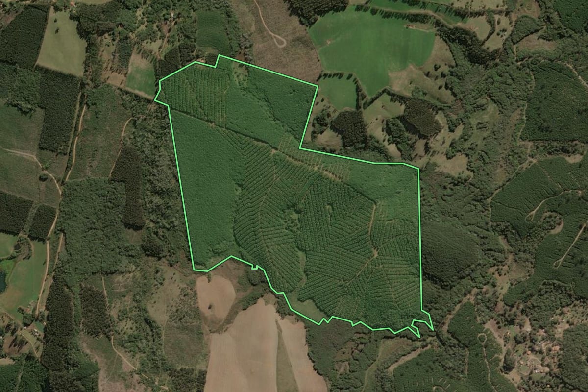 Imagem de satélite do imóvel rural em Jaguariaíva (PR), com o contorno declarado no CAR desenhado por cima.