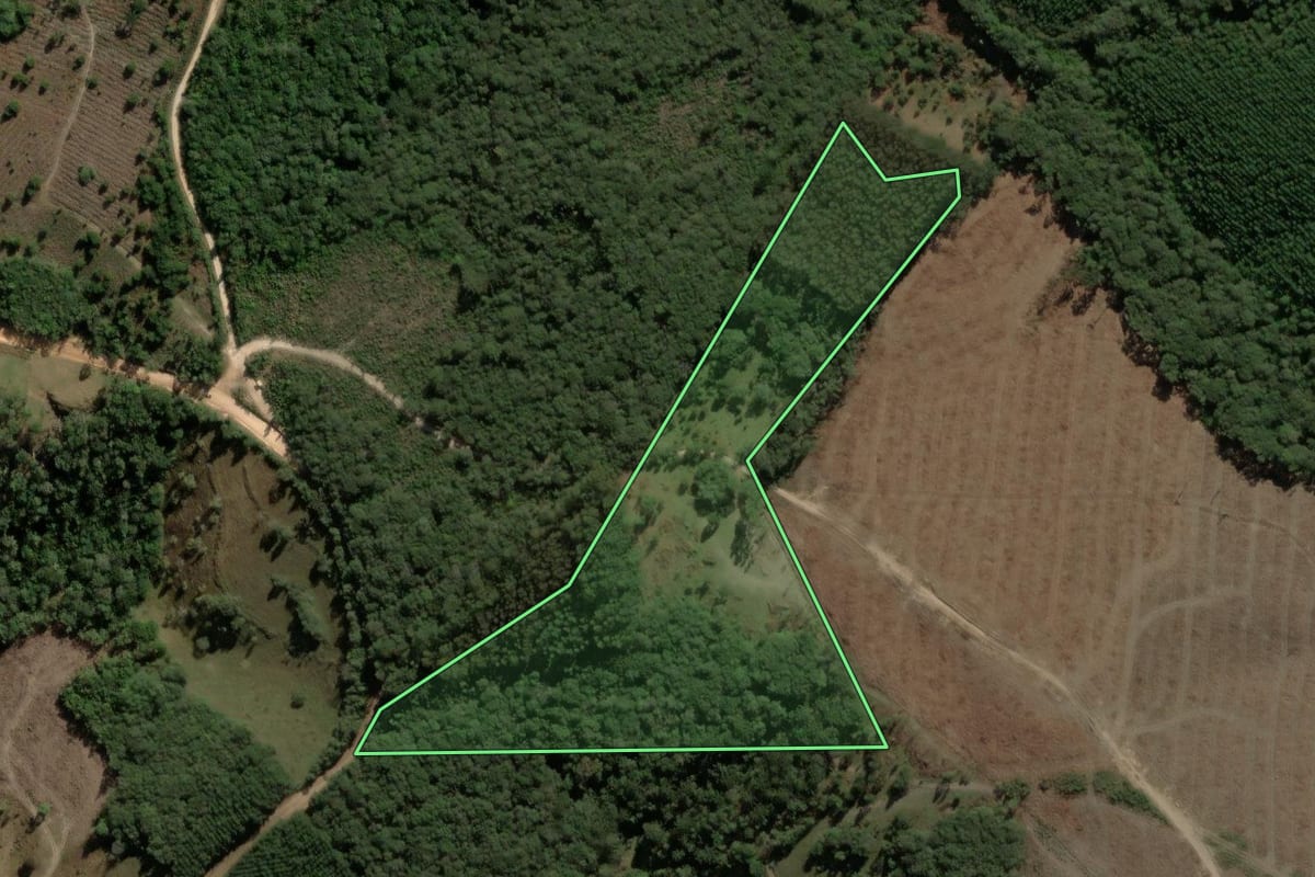 Imagem de satélite do imóvel rural em Jaguariaíva (PR), com o contorno declarado no CAR desenhado por cima.