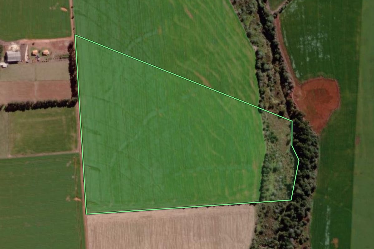Imagem de satélite do imóvel rural em Jaguariaíva (PR), com o contorno declarado no CAR desenhado por cima.