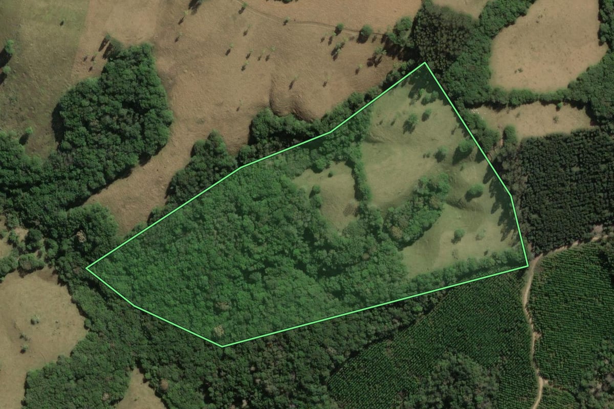 Imagem de satélite do imóvel rural em Jaguariaíva (PR), com o contorno declarado no CAR desenhado por cima.