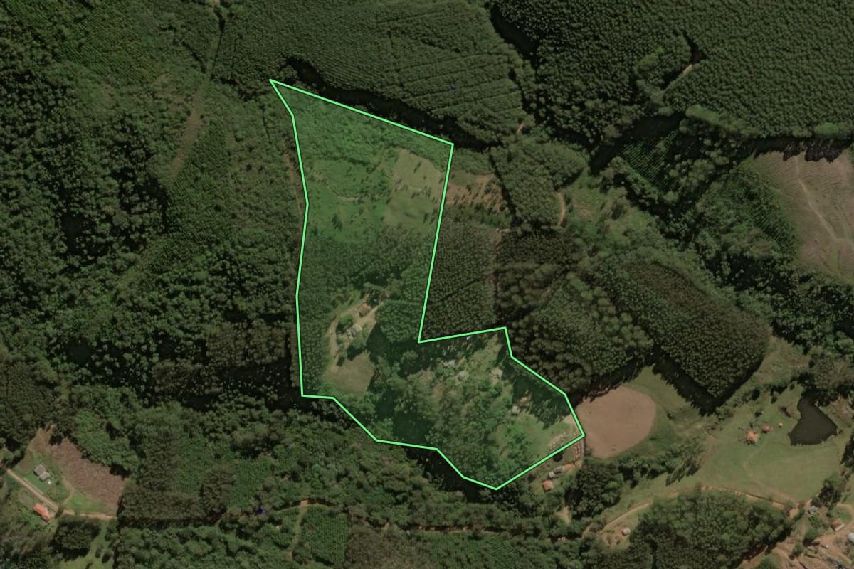 Imagem de satélite do imóvel rural em Jaguariaíva (PR), com o contorno declarado no CAR desenhado por cima.
