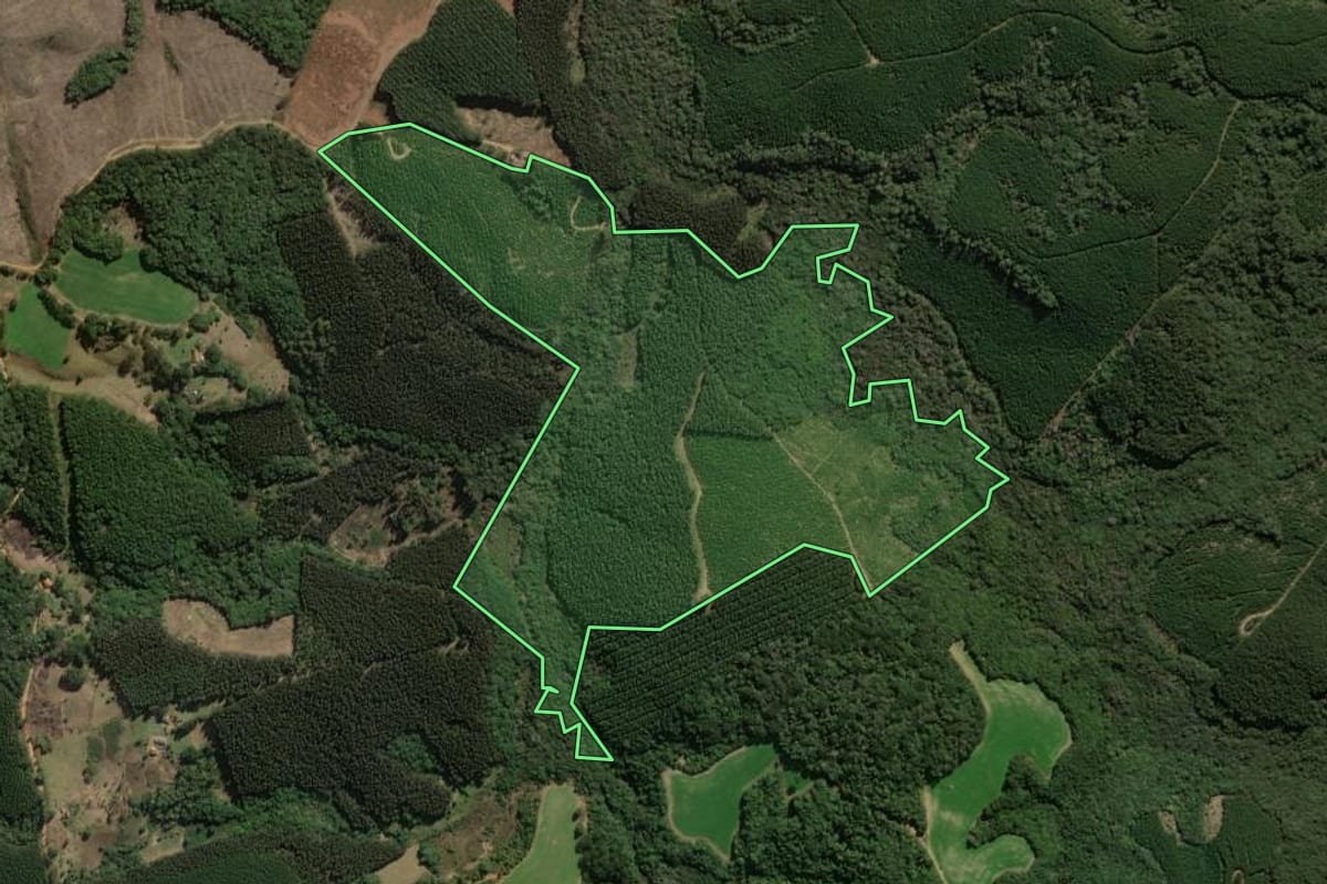 Imagem de satélite do imóvel rural em Jaguariaíva (PR), com o contorno declarado no CAR desenhado por cima.