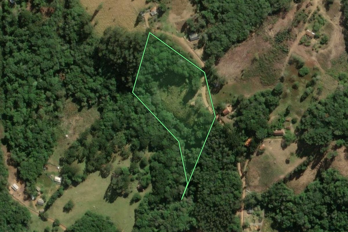 Imagem de satélite do imóvel rural em Jaguariaíva (PR), com o contorno declarado no CAR desenhado por cima.