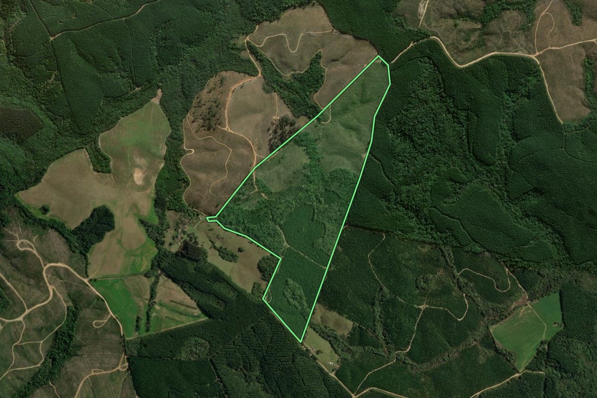 Imagem de satélite do imóvel rural em Jaguariaíva (PR), com o contorno declarado no CAR desenhado por cima.