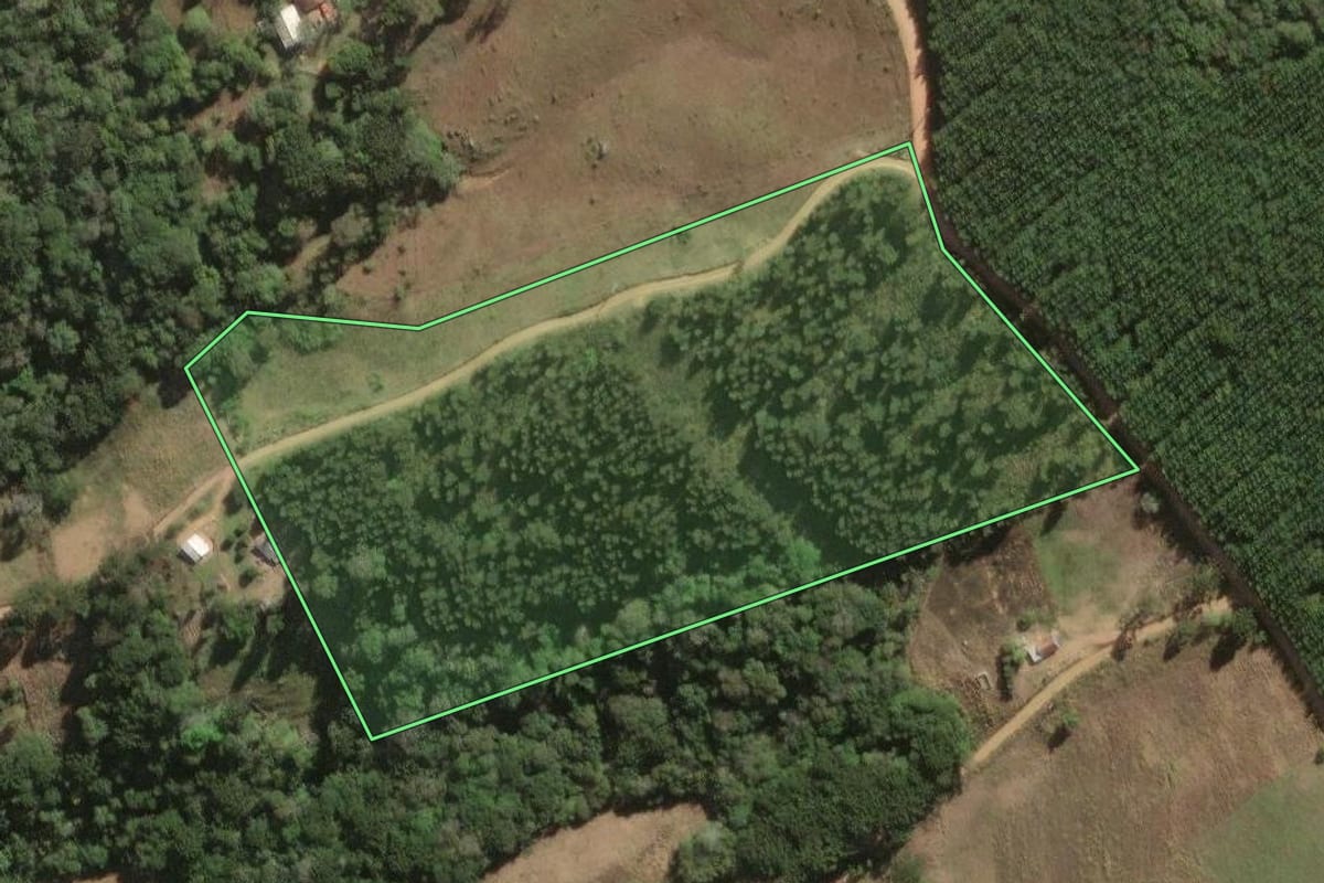 Imagem de satélite do imóvel rural em Jaguariaíva (PR), com o contorno declarado no CAR desenhado por cima.