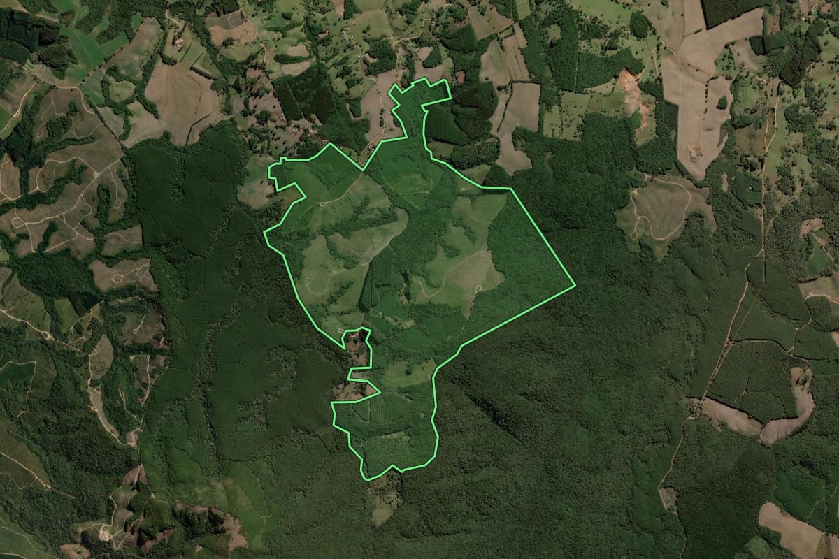 Imagem de satélite do imóvel rural em Jaguariaíva (PR), com o contorno declarado no CAR desenhado por cima.