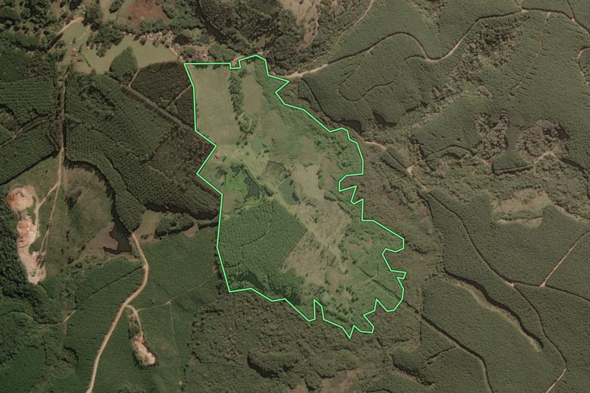 Imagem de satélite do imóvel rural em Jaguariaíva (PR), com o contorno declarado no CAR desenhado por cima.