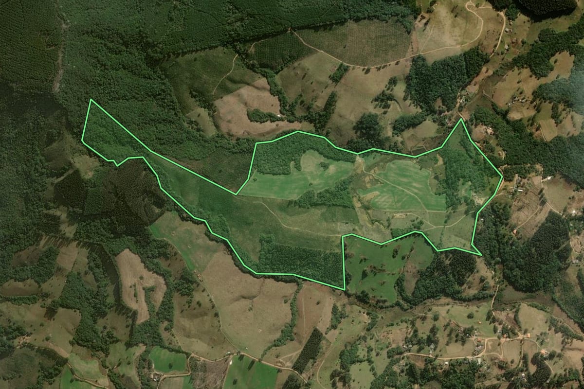 Imagem de satélite do imóvel rural em Jaguariaíva (PR), com o contorno declarado no CAR desenhado por cima.