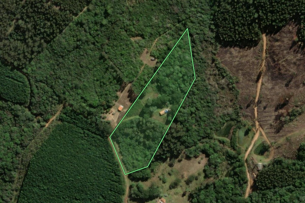 Imagem de satélite do imóvel rural em Jaguariaíva (PR), com o contorno declarado no CAR desenhado por cima.