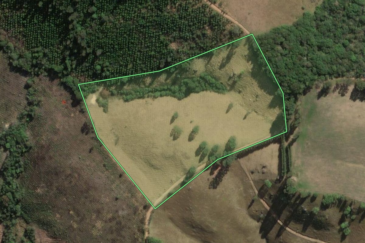 Imagem de satélite do imóvel rural em Jaguariaíva (PR), com o contorno declarado no CAR desenhado por cima.